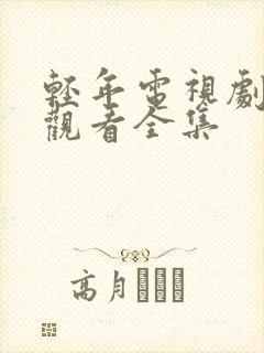 轻年电视剧免费观看全集