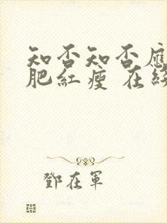 知否知否应是绿肥红瘦 在线免费看