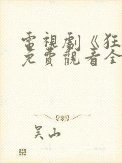 电视剧《狂飙》免费观看全集播放