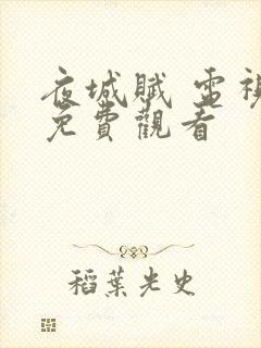 夜城赋 电视剧免费观看