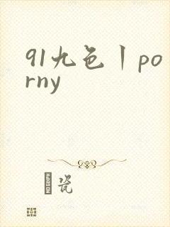 91九色丨porny