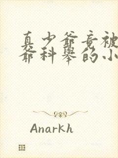 真少爷竟被假少爷科举的小说