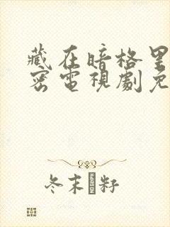 藏在暗格里的秘密电视剧免费看封面