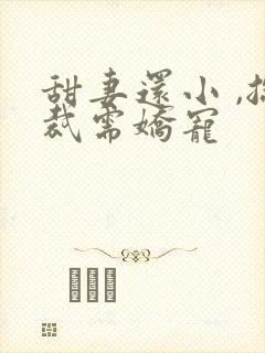 甜妻还小 ,总裁需娇宠