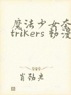 魔法少女奈叶strikers 动漫封面