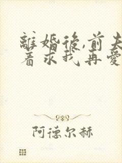 离婚后,前夫哭着求我再爱他一次