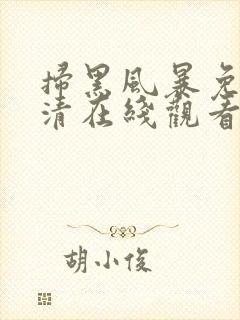 扫黑风暴免费高清在线观看电视剧