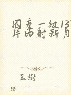 国产一级137片内射新月女封面