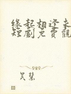 缘起相逢未识时短剧免费观看全集