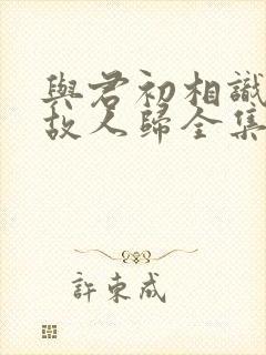 与君初相识恰似故人归全集免费看封面