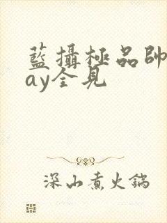 蓝摄极品帅男gay全见