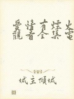 爱情有烟火免费观看全集电视剧完整版