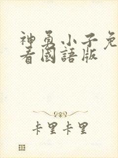 神勇小子免费观看国语版封面