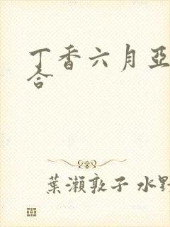 丁香六月亚洲综合封面