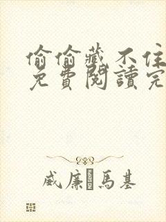 偷偷藏不住小说免费阅读完整版无弹窗封面