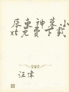 辰东神墓小说txt免费下载