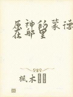 原神的蒙德灵笼在哪里