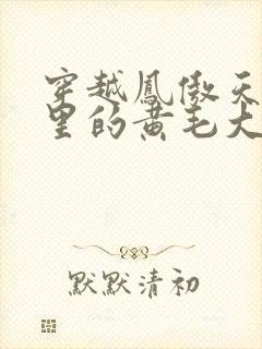 穿越凤傲天小说里的黄毛大反派也想要幸福