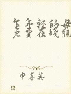 乍年轻的母亲2免费在线观看封面