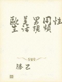 欧美男同性恋性生活视频