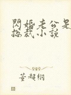 闪婚老公是亿万总裁小说封面