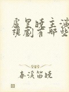 卢昱晓主演的电视剧有哪些