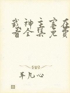 武神主宰在线观看全集免费播放真人版