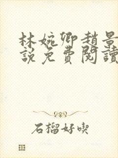 林婉卿赵景玄小说免费阅读