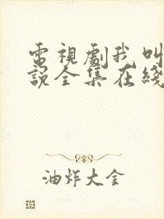 电视剧我叫刘传说全集在线观看免费