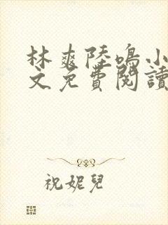 林爽陆鸣小说全文免费阅读