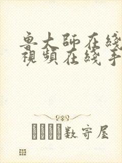 鲁大师在线观看视频在线手机观看封面