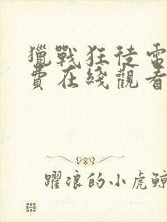 猎战狂徒电影免费在线观看封面