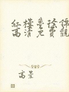 红楼梦徐锦江版高清免费观看封面