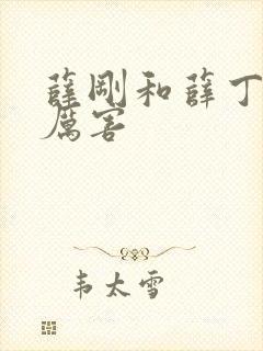 薛刚和薛丁山谁厉害