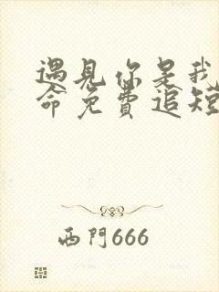 遇见你是我的宿命免费追短剧