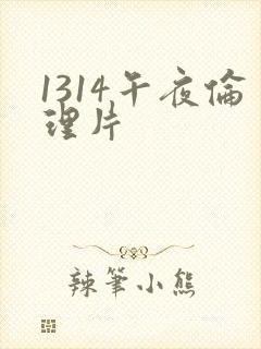 1314午夜伦理片