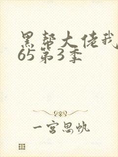 黑帮大佬我的365第3季