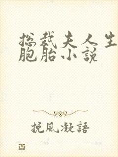 总裁夫人生了六胞胎小说