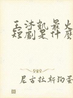 王沐凯最火十部短剧是什么封面