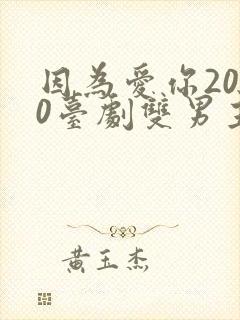 因为爱你2020台剧双男主