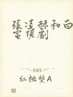 张凌赫和白鹿的电视剧封面