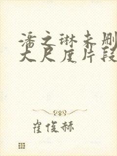 潘之琳未删减版大尺度片段流出