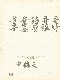 爸爸的哥哥和嫂子怎么称呼