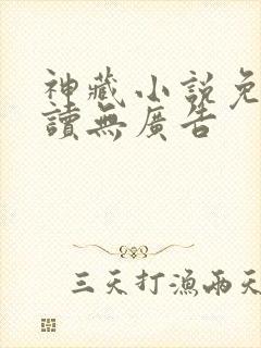 神藏小说免费阅读无广告
