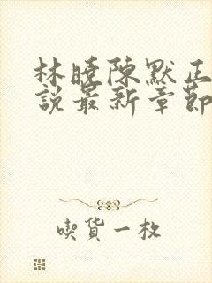 林晓陈默正版小说最新章节