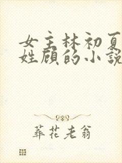 女主林初夏男主姓顾的小说