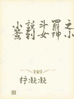 小说斗罗之开局签到女神小舞楚秦无弹窗