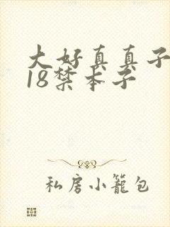 大好真真子同人18禁本子