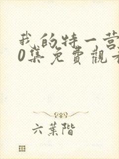 我的特一营第40集免费观看