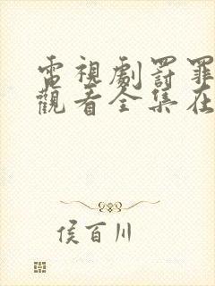 电视剧罚罪免费观看全集在线封面